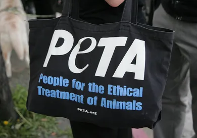 Dedication Ceremony For PETA's Los Angeles Office "The Bob Barker Building"