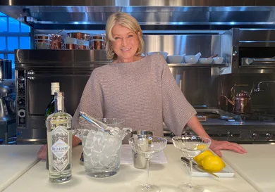 Hudson River Park Ungala