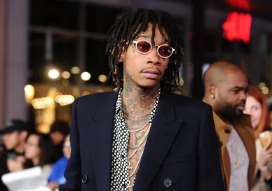 Premiere Of Paramount Pictures' "xXx: Return Of Xander Cage" - Arrivals