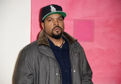 "Ride Along" - Special Screening - Inside Arrivals