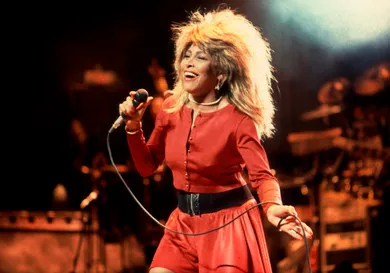 Tina Turner At The Poplar Creek Music Theater