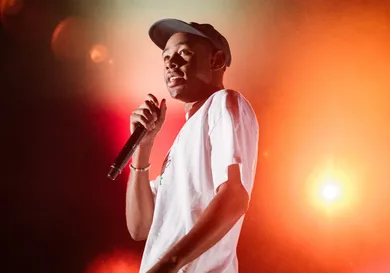 tyler the creator goblin 1