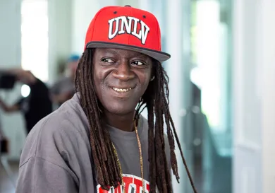 Flavor Flav Portrait 2017