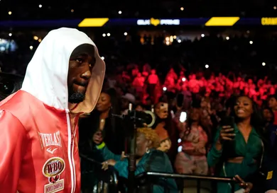 Terence Crawford vs. David Avanesyan