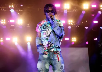 2023 The Roots Picnic