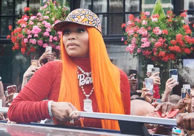 Nicki Minaj Blog Pages Fake News