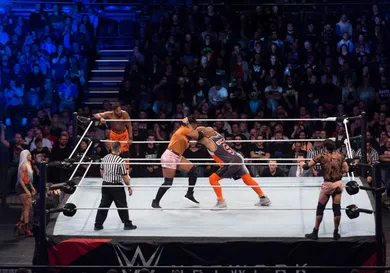 WWE Live Show In Dortmund