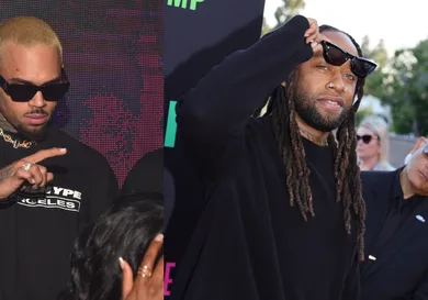 Chris Brown Ty Dolla Sign Motion Dog Attack Lawsuit