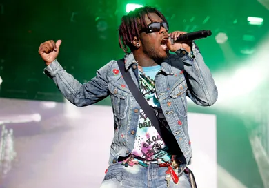 2023 The Roots Picnic