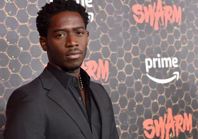 Los Angeles Premiere Of Prime Video's "Swarm" - Arrivals