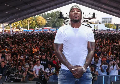 The Roots Picnic 2017