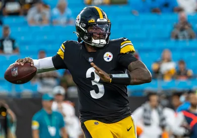 Pittsburgh Steelers v Carolina Panthers