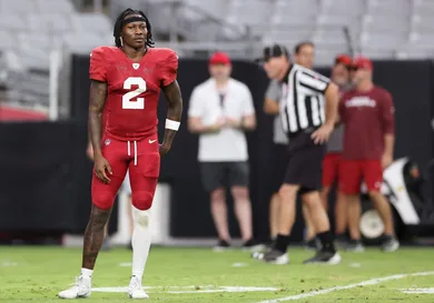 Arizona Cardinals Training Camp