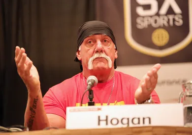hulk hogan