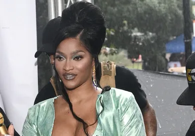 Joseline Hernandez Bobby Lytes Renaissance Outfit Haters