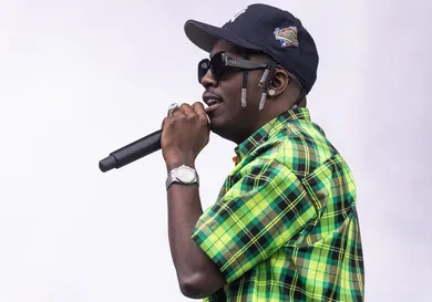 2023 Lollapalooza Festival