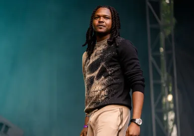 2022 Lollapalooza - Day 4