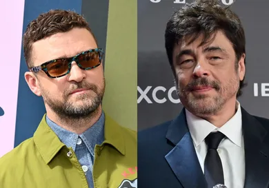 justin timberlake benicio del toro reptile