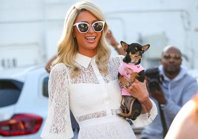 Celebrity Sightings In Los Angeles - November 05, 2021