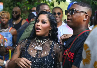 Pure Heat Community Festival Honoring Big Freedia