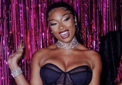 Megan Thee Stallion Twerking Work Out HIp Hop News