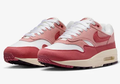 Nike-Air-Max-1-Red-Stardust-Cedar-DZ2628-103-4