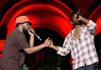 2014 Budweiser Made In America Festival - Day 1 - Los Angeles