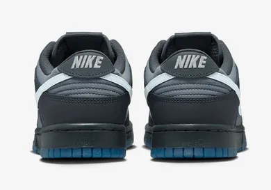 Nike-Dunk-Low-Anthracite-Pure-Platinum-Cool-Grey-FV0384-001-5