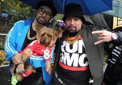 New Yorkers show costumed dogs for Halloween