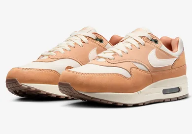 Nike-Air-Max-1-Wheat-Flax-FZ3598-299-4