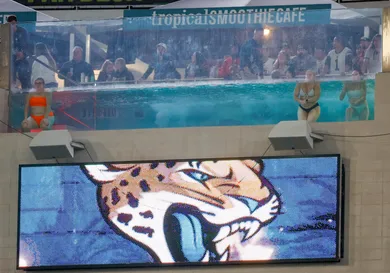 NFL: DEC 04 Bengals at Jaguars