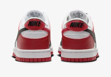 Nike-Dunk-Low-GS-Black-Toe-HF9980-600-5