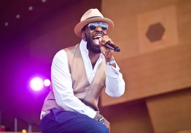 2017 Chicago Blues Festival