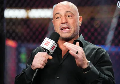 UFC 290: Volkanovski v Rodriguez