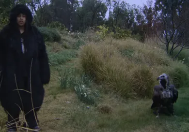 talking north west video