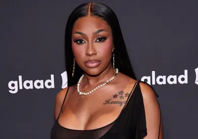 35th Annual GLAAD Media Awards New York - Arrivals