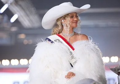 NFL: Baltimore Ravens at Houston Texans