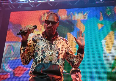 Snoop Lion In Concert - Indianapolis, Indiana