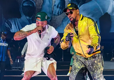 Wu-Tang Clan In Concert