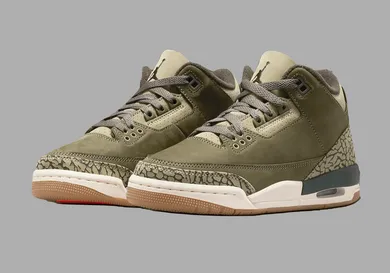 air-jordan-3-family-affair-sneaker-news