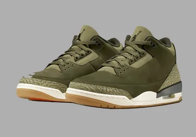 air-jordan-3-family-affair-sneaker-news