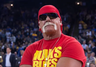 Hulk Hogan Alleged Medical Malpractice Sports News