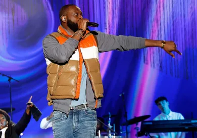 2023 The Roots Picnic