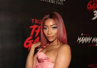 Tommie Lee Accused Bloodying Fan Gossip News