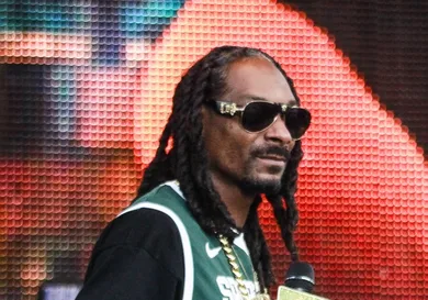 Snoop Dogg Security Confronting Athlete