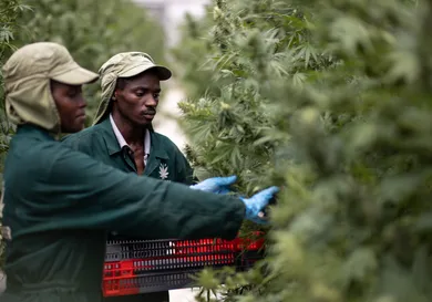 Luke Dray/Getty Images