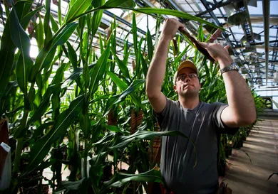 Brent Stirton/Getty Images