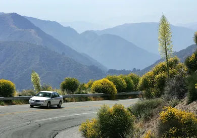 David McNew/Getty Images