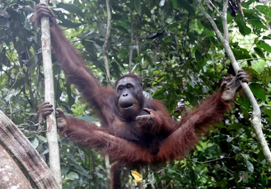 Chris Jackson - Pool/Getty Images