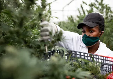 Luke Dray/Getty Images